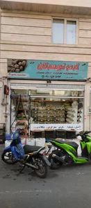 گردو تویسرکان 2