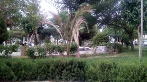 بوستان امام رضا 2