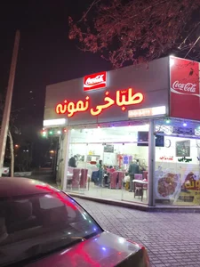 طباخی نمونه 4