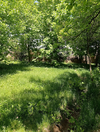 باغچه احمد دایی (احمد جباری فر)