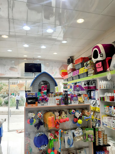 Oxin pet shop