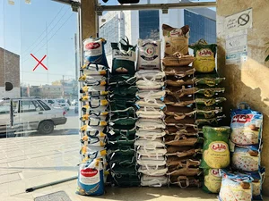 بازرگانی عرشیا