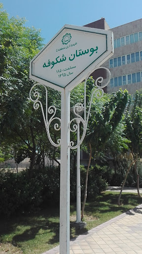 بوستان شکوفه