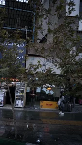 اغذیه فانوس