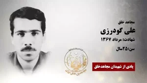 علی گودرزی