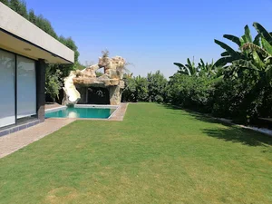 Green garden. Dez