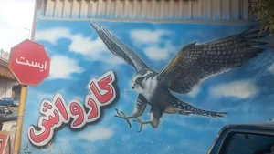 کارواش شاهین (پارسایی) 5