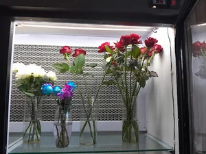 گلفروشی ماکیا