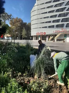 بانک گردشگری 2