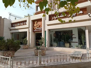 آجیل صالح