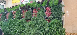 سبزیجات شمال قمی