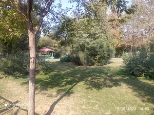 بوستان مینا
