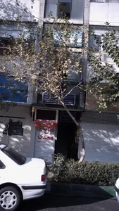 دکتر شهرام