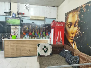 کافه سناتور 2