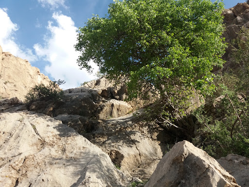 روستای انجیره