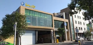 تشک رویا 2