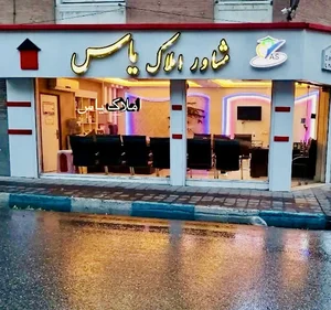 مشاورین املاک یاس