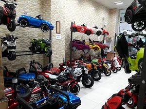 ماشین شارژی کارلند