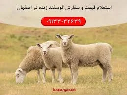 دامداری صوفیان
