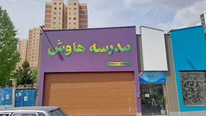 دبستان هاوش