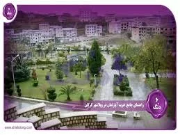 زالو طبی اصیل هیرودو اوریانتالیس