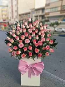 گل کارانفیل 3