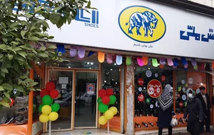 کفش ملی