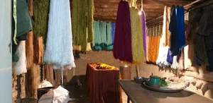 رنگرزی ابریشم مخلصی