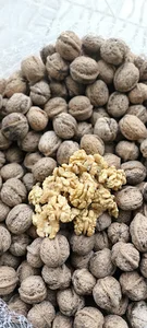 فروشگاه گردو(محصولات طبیعی)