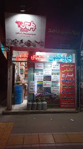 پروتئین سعید