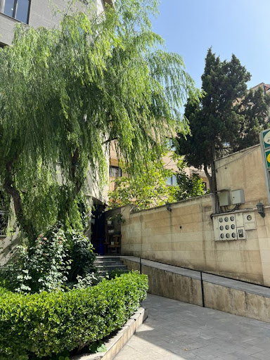 مرکز توانبخشی و مشاوره سیدی