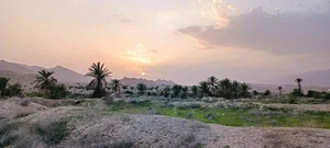 مد میری باغ سید