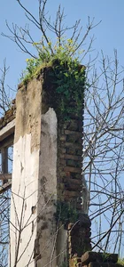 مدرسه نظامی نهضت جنگل