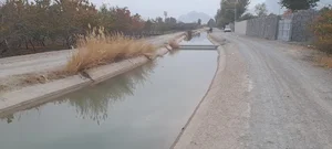 کوه موسی