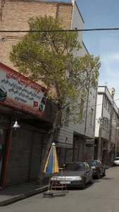 تزئینات اتومبیل اسدی