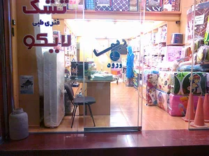 فروشگاه ریما نمایندگی شرکت لایکو