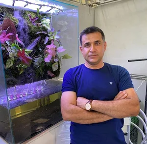 آکواریوم آنجل مهاباد