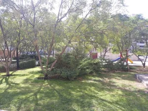 بوستان آفتاب