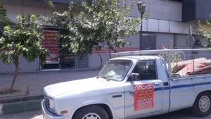 قالیشویی ذوالقدر 4