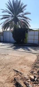 پارک دانشکده