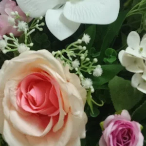 تاروپود
