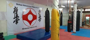 باشگاه رزمی میرداماد(استاد معصوم زاده)