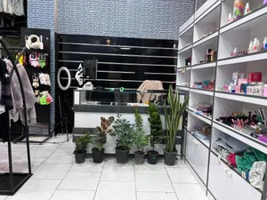 اچ زد کالکشن 2