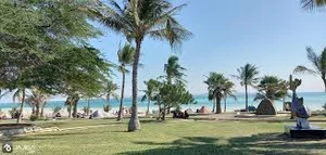 پارک ساحلی قشم _ از زیتون تا سوزا _ جاجیگا