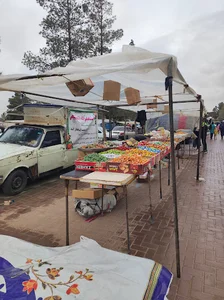 جمعه بازار تربت جام