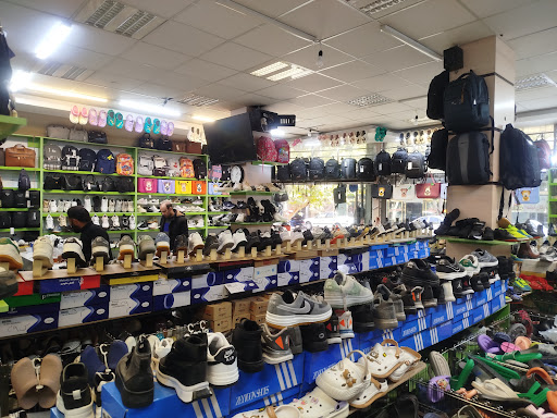 کیف و کفش سبز (کفش رسان)