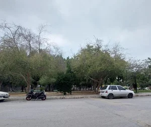 پارک عسلی 5