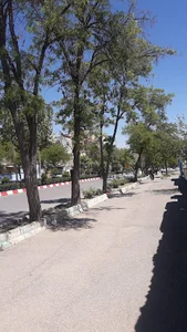 بوستان استاندارد