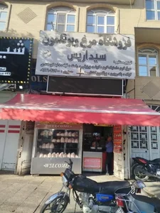 مرغ و بوقلمون سیداریس 3