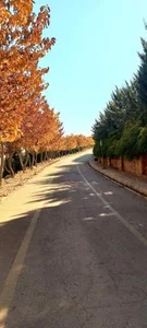 پارک کوهستان 3